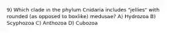 9) Which clade in the phylum Cnidaria includes "jellies" with rounded (as opposed to boxlike) medusae? A) Hydrozoa B) Scyphozoa C) Anthozoa D) Cubozoa