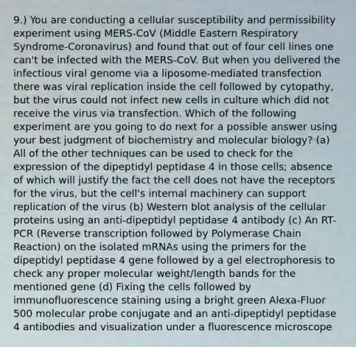 9.) You are conducting a cellular susceptibility and permissibility experiment using MERS-CoV (Middle Eastern Respiratory Syndrome-Coronavirus) and found that out of four cell lines one can't be infected with the MERS-CoV. But when you delivered the infectious viral genome via a liposome-mediated transfection there was viral replication inside the cell followed by cytopathy, but the virus could not infect new cells in culture which did not receive the virus via transfection. Which of the following experiment are you going to do next for a possible answer using your best judgment of biochemistry and molecular biology? (a) All of the other techniques can be used to check for the expression of the dipeptidyl peptidase 4 in those cells; absence of which will justify the fact the cell does not have the receptors for the virus, but the cell's internal machinery can support replication of the virus (b) Western blot analysis of the cellular proteins using an anti-dipeptidyl peptidase 4 antibody (c) An RT-PCR (Reverse transcription followed by Polymerase Chain Reaction) on the isolated mRNAs using the primers for the dipeptidyl peptidase 4 gene followed by a gel electrophoresis to check any proper molecular weight/length bands for the mentioned gene (d) Fixing the cells followed by immunofluorescence staining using a bright green Alexa-Fluor 500 molecular probe conjugate and an anti-dipeptidyl peptidase 4 antibodies and visualization under a fluorescence microscope