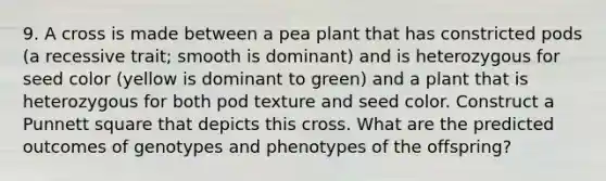 9. A cross is made between a pea plant that has constricted pods (a recessive trait; smooth is dominant) and is heterozygous for seed color (yellow is dominant to green) and a plant that is heterozygous for both pod texture and seed color. Construct a Punnett square that depicts this cross. What are the predicted outcomes of genotypes and phenotypes of the offspring?