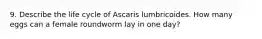 9. Describe the life cycle of Ascaris lumbricoides. How many eggs can a female roundworm lay in one day?