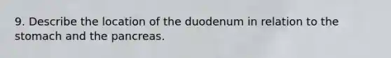 9. Describe the location of the duodenum in relation to the stomach and the pancreas.