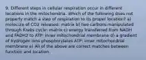 9. Different steps in cellular respiration occur in different locations in the mitochondria. Which of the following does not properly match a step of respiration to its proper location? a) molecule of CO2 released: matrix b) two carbons manipulated through Krebs cycle: matrix c) energy transferred from NADH and FADH2 to ATP: inner mitochondrial membrane d) a gradient of hydrogen ions phosphorylates ATP: inner mitochondrial membrane e) All of the above are correct matches between function and location.