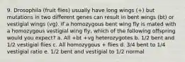 9. Drosophila (fruit flies) usually have long wings (+) but mutations in two different genes can result in bent wings (bt) or vestigial wings (vg). If a homozygous bent wing fly is mated with a homozygous vestigial wing fly, which of the following offspring would you expect? a. All +bt +vg heterozygotes b. 1/2 bent and 1/2 vestigial flies c. All homozygous + flies d. 3/4 bent to 1/4 vestigial ratio e. 1/2 bent and vestigial to 1/2 normal