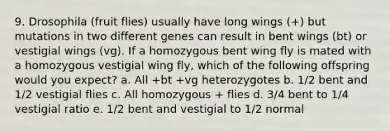 9. Drosophila (fruit flies) usually have long wings (+) but mutations in two different genes can result in bent wings (bt) or vestigial wings (vg). If a homozygous bent wing fly is mated with a homozygous vestigial wing fly, which of the following offspring would you expect? a. All +bt +vg heterozygotes b. 1/2 bent and 1/2 vestigial flies c. All homozygous + flies d. 3/4 bent to 1/4 vestigial ratio e. 1/2 bent and vestigial to 1/2 normal