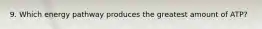 9. Which energy pathway produces the greatest amount of ATP?