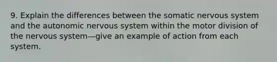 9. Explain the differences between the somatic nervous system and the autonomic nervous system within the motor division of the nervous system—give an example of action from each system.