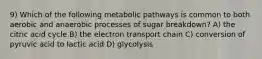 9) Which of the following metabolic pathways is common to both aerobic and anaerobic processes of sugar breakdown? A) the citric acid cycle B) the electron transport chain C) conversion of pyruvic acid to lactic acid D) glycolysis