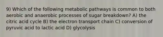 9) Which of the following metabolic pathways is common to both aerobic and anaerobic processes of sugar breakdown? A) the citric acid cycle B) <a href='https://www.questionai.com/knowledge/k57oGBr0HP-the-electron-transport-chain' class='anchor-knowledge'>the electron transport chain</a> C) conversion of pyruvic acid to lactic acid D) glycolysis