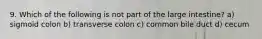9. Which of the following is not part of the large intestine? a) sigmoid colon b) transverse colon c) common bile duct d) cecum