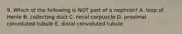 9. Which of the following is NOT part of a nephron? A. loop of Henle B. collecting duct C. renal corpuscle D. proximal convoluted tubule E. distal convoluted tubule