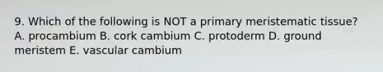 9. Which of the following is NOT a primary meristematic tissue? A. procambium B. cork cambium C. protoderm D. ground meristem E. vascular cambium