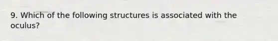 9. Which of the following structures is associated with the oculus?