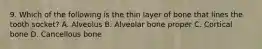 9. Which of the following is the thin layer of bone that lines the tooth socket? A. Alveolus B. Alveolar bone proper C. Cortical bone D. Cancellous bone