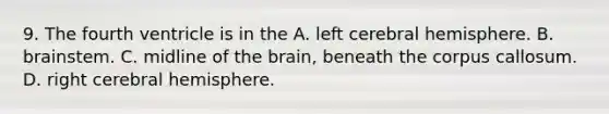 9. The fourth ventricle is in the A. left cerebral hemisphere. B. brainstem. C. midline of the brain, beneath the corpus callosum. D. right cerebral hemisphere.