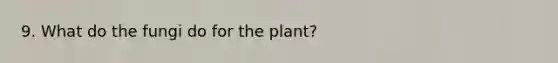 9. What do the fungi do for the plant?