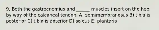 9. Both the gastrocnemius and ______ muscles insert on the heel by way of the calcaneal tendon. A) semimembranosus B) tibialis posterior C) tibialis anterior D) soleus E) plantaris