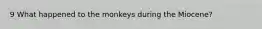 9 What happened to the monkeys during the Miocene?