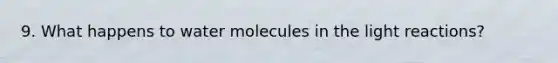 9. What happens to water molecules in the <a href='https://www.questionai.com/knowledge/kSUoWrrvoC-light-reactions' class='anchor-knowledge'>light reactions</a>?