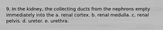 9. In the kidney, the collecting ducts from the nephrons empty immediately into the a. renal cortex. b. renal medulla. c. renal pelvis. d. ureter. e. urethra.