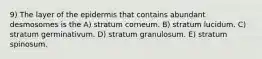 9) The layer of the epidermis that contains abundant desmosomes is the A) stratum corneum. B) stratum lucidum. C) stratum germinativum. D) stratum granulosum. E) stratum spinosum.