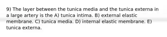 9) The layer between the tunica media and the tunica externa in a large artery is the A) tunica intima. B) external elastic membrane. C) tunica media. D) internal elastic membrane. E) tunica externa.