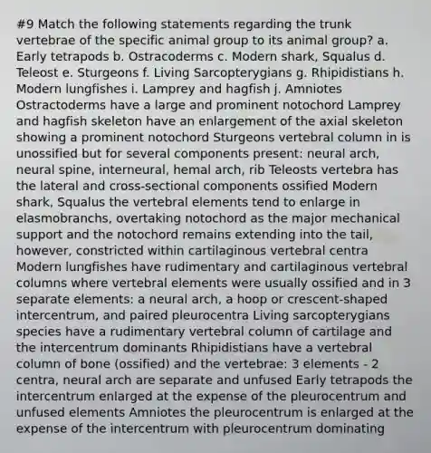 #9 Match the following statements regarding the trunk vertebrae of the specific animal group to its animal group? a. Early tetrapods b. Ostracoderms c. Modern shark, Squalus d. Teleost e. Sturgeons f. Living Sarcopterygians g. Rhipidistians h. Modern lungfishes i. Lamprey and hagfish j. Amniotes Ostractoderms have a large and prominent notochord Lamprey and hagfish skeleton have an enlargement of the axial skeleton showing a prominent notochord Sturgeons vertebral column in is unossified but for several components present: neural arch, neural spine, interneural, hemal arch, rib Teleosts vertebra has the lateral and cross-sectional components ossified Modern shark, Squalus the vertebral elements tend to enlarge in elasmobranchs, overtaking notochord as the major mechanical support and the notochord remains extending into the tail, however, constricted within cartilaginous vertebral centra Modern lungfishes have rudimentary and cartilaginous vertebral columns where vertebral elements were usually ossified and in 3 separate elements: a neural arch, a hoop or crescent-shaped intercentrum, and paired pleurocentra Living sarcopterygians species have a rudimentary vertebral column of cartilage and the intercentrum dominants Rhipidistians have a vertebral column of bone (ossified) and the vertebrae: 3 elements - 2 centra, neural arch are separate and unfused Early tetrapods the intercentrum enlarged at the expense of the pleurocentrum and unfused elements Amniotes the pleurocentrum is enlarged at the expense of the intercentrum with pleurocentrum dominating