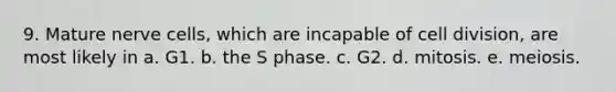 9. Mature nerve cells, which are incapable of cell division, are most likely in a. G1. b. the S phase. c. G2. d. mitosis. e. meiosis.