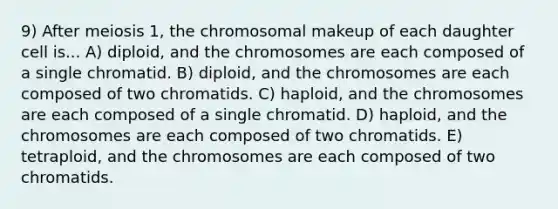 9) After meiosis 1, the chromosomal makeup of each daughter cell is... A) diploid, and the chromosomes are each composed of a single chromatid. B) diploid, and the chromosomes are each composed of two chromatids. C) haploid, and the chromosomes are each composed of a single chromatid. D) haploid, and the chromosomes are each composed of two chromatids. E) tetraploid, and the chromosomes are each composed of two chromatids.