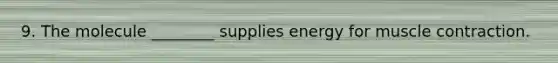 9. The molecule ________ supplies energy for muscle contraction.