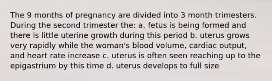 The 9 months of pregnancy are divided into 3 month trimesters. During the second trimester the: a. fetus is being formed and there is little uterine growth during this period b. uterus grows very rapidly while the woman's blood volume, cardiac output, and heart rate increase c. uterus is often seen reaching up to the epigastrium by this time d. uterus develops to full size