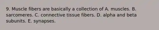 9. Muscle fibers are basically a collection of A. muscles. B. sarcomeres. C. connective tissue fibers. D. alpha and beta subunits. E. synapses.