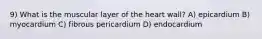 9) What is the muscular layer of the heart wall? A) epicardium B) myocardium C) fibrous pericardium D) endocardium