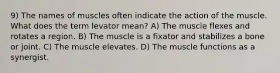 9) The names of muscles often indicate the action of the muscle. What does the term levator mean? A) The muscle flexes and rotates a region. B) The muscle is a fixator and stabilizes a bone or joint. C) The muscle elevates. D) The muscle functions as a synergist.