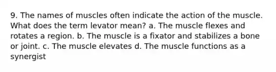 9. The names of muscles often indicate the action of the muscle. What does the term levator mean? a. The muscle flexes and rotates a region. b. The muscle is a fixator and stabilizes a bone or joint. c. The muscle elevates d. The muscle functions as a synergist