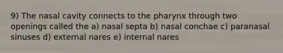 9) The nasal cavity connects to <a href='https://www.questionai.com/knowledge/ktW97n6hGJ-the-pharynx' class='anchor-knowledge'>the pharynx</a> through two openings called the a) nasal septa b) nasal conchae c) paranasal sinuses d) external nares e) internal nares