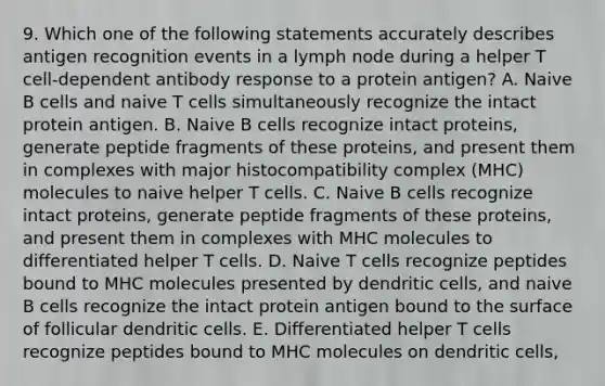 9. Which one of the following statements accurately describes antigen recognition events in a lymph node during a helper T cell-dependent antibody response to a protein antigen? A. Naive B cells and naive T cells simultaneously recognize the intact protein antigen. B. Naive B cells recognize intact proteins, generate peptide fragments of these proteins, and present them in complexes with major histocompatibility complex (MHC) molecules to naive helper T cells. C. Naive B cells recognize intact proteins, generate peptide fragments of these proteins, and present them in complexes with MHC molecules to differentiated helper T cells. D. Naive T cells recognize peptides bound to MHC molecules presented by dendritic cells, and naive B cells recognize the intact protein antigen bound to the surface of follicular dendritic cells. E. Differentiated helper T cells recognize peptides bound to MHC molecules on dendritic cells,