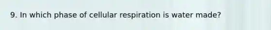 9. In which phase of cellular respiration is water made?