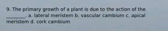 9. The primary growth of a plant is due to the action of the ________. a. lateral meristem b. vascular cambium c. apical meristem d. cork cambium