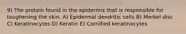 9) The protein found in the epidermis that is responsible for toughening the skin. A) Epidermal dendritic cells B) Merkel disc C) Keratinocytes D) Keratin E) Cornified keratinocytes