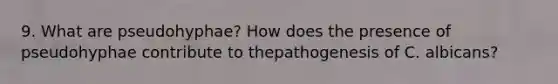 9. What are pseudohyphae? How does the presence of pseudohyphae contribute to thepathogenesis of C. albicans?