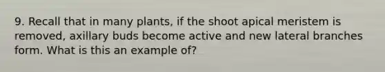 9. Recall that in many plants, if the shoot apical meristem is removed, axillary buds become active and new lateral branches form. What is this an example of?