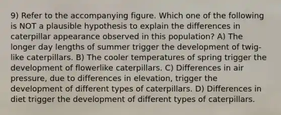 9) Refer to the accompanying figure. Which one of the following is NOT a plausible hypothesis to explain the differences in caterpillar appearance observed in this population? A) The longer day lengths of summer trigger the development of twig-like caterpillars. B) The cooler temperatures of spring trigger the development of flowerlike caterpillars. C) Differences in air pressure, due to differences in elevation, trigger the development of different types of caterpillars. D) Differences in diet trigger the development of different types of caterpillars.