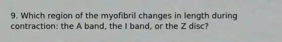 9. Which region of the myofibril changes in length during contraction: the A band, the I band, or the Z disc?