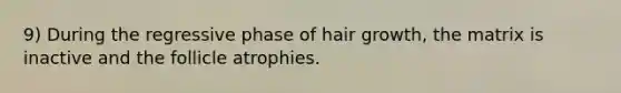 9) During the regressive phase of hair growth, the matrix is inactive and the follicle atrophies.