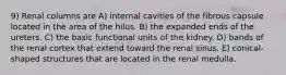 9) Renal columns are A) internal cavities of the fibrous capsule located in the area of the hilus. B) the expanded ends of the ureters. C) the basic functional units of the kidney. D) bands of the renal cortex that extend toward the renal sinus. E) conical-shaped structures that are located in the renal medulla.