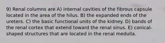 9) Renal columns are A) internal cavities of the fibrous capsule located in the area of the hilus. B) the expanded ends of the ureters. C) the basic functional units of the kidney. D) bands of the renal cortex that extend toward the renal sinus. E) conical-shaped structures that are located in the renal medulla.