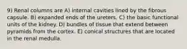 9) Renal columns are A) internal cavities lined by the fibrous capsule. B) expanded ends of the ureters. C) the basic functional units of the kidney. D) bundles of tissue that extend between pyramids from the cortex. E) conical structures that are located in the renal medulla.