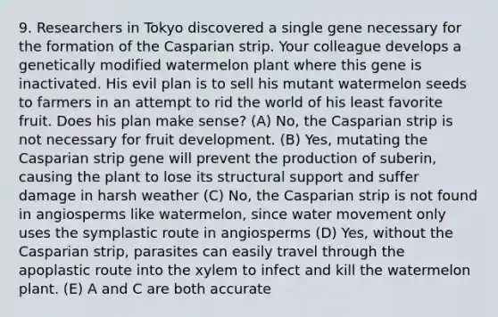 9. Researchers in Tokyo discovered a single gene necessary for the formation of the Casparian strip. Your colleague develops a genetically modified watermelon plant where this gene is inactivated. His evil plan is to sell his mutant watermelon seeds to farmers in an attempt to rid the world of his least favorite fruit. Does his plan make sense? (A) No, the Casparian strip is not necessary for fruit development. (B) Yes, mutating the Casparian strip gene will prevent the production of suberin, causing the plant to lose its structural support and suffer damage in harsh weather (C) No, the Casparian strip is not found in angiosperms like watermelon, since water movement only uses the symplastic route in angiosperms (D) Yes, without the Casparian strip, parasites can easily travel through the apoplastic route into the xylem to infect and kill the watermelon plant. (E) A and C are both accurate