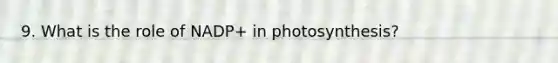 9. What is the role of NADP+ in photosynthesis?