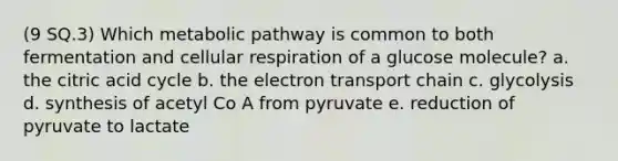 (9 SQ.3) Which metabolic pathway is common to both fermentation and cellular respiration of a glucose molecule? a. the citric acid cycle b. the electron transport chain c. glycolysis d. synthesis of acetyl Co A from pyruvate e. reduction of pyruvate to lactate